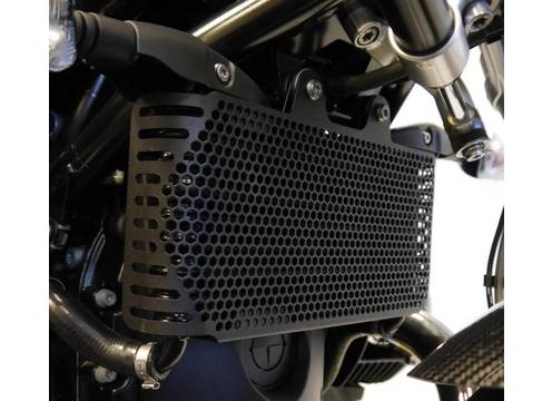 product image for BMW R Nine T Oil Cooler Guard 2013 On